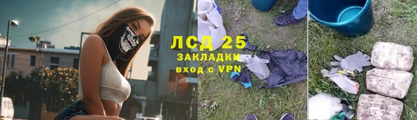 гидра Алексеевка