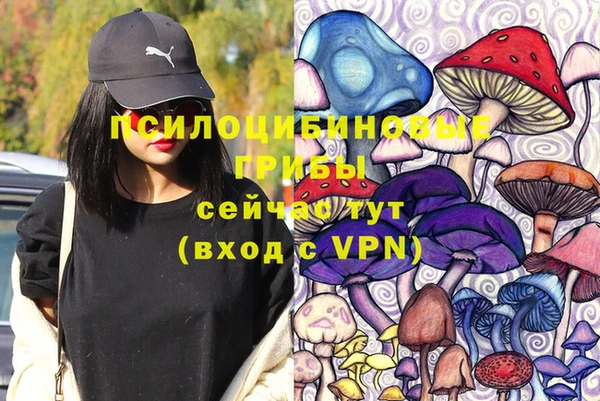 синтетический гашиш Алексин