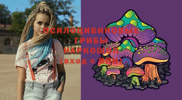 гидра Алексеевка