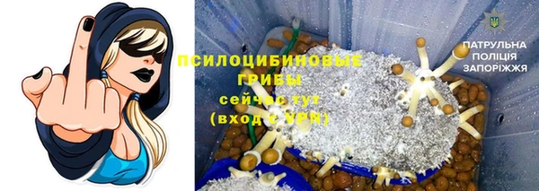 гидра Алексеевка