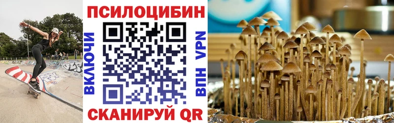 где можно купить наркотик  Нюрба  Галлюциногенные грибы мухоморы 