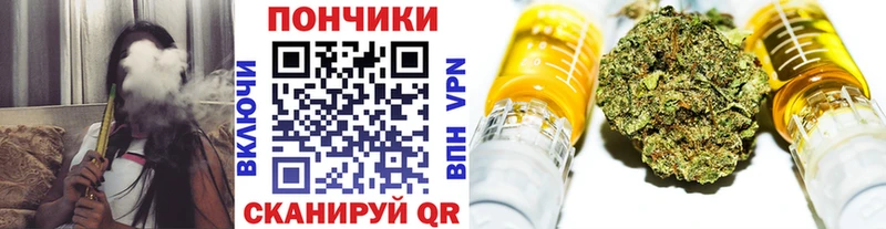 Бошки марихуана семена  закладка  Нюрба 